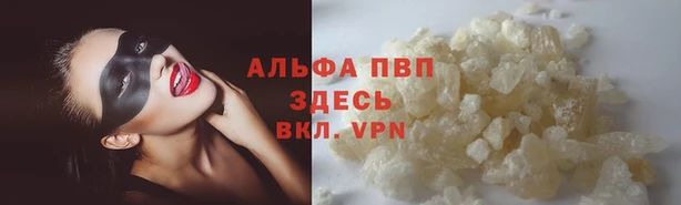 apvp Алексин