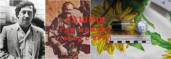 гидра Алзамай