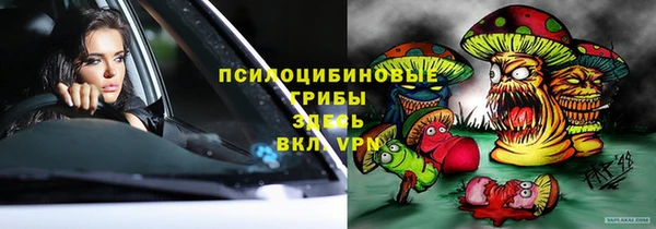 гидра Алзамай