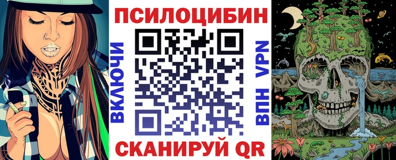 хочу наркоту  Белгород  Галлюциногенные грибы Psilocybe 