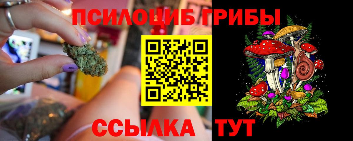 Галлюциногенные грибы мицелий  Псилоцибиновые грибы Psilocybe  дарнет шоп  Белгород  Вход с VPN 