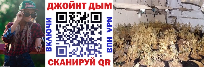 Шишки марихуана Amnesia  даркнет какой сайт  Белгород  купить закладку 